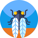 Killer Cicadas